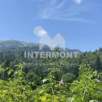 Teren de vanzare in Sinaia tr252.