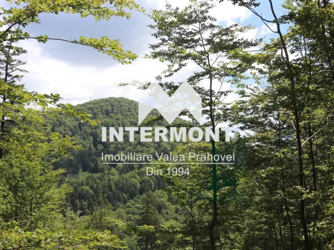 Teren de vanzare in Sinaia-tr272.