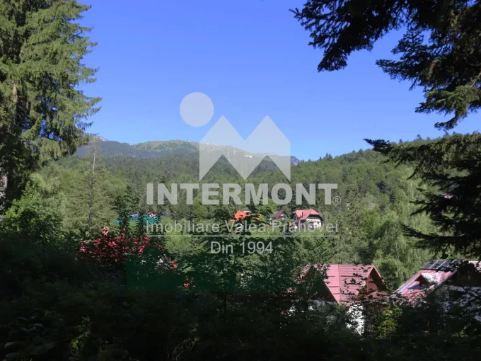 teren de vanzare Sinaia-tr472